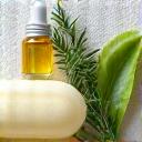 A collection of vibrant, fresh botanical ingredients like aloe vera, shea butter, and essential oils, arranged aesthetically to represent natural and organic product components.