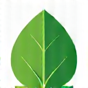Eco-Certified Badge